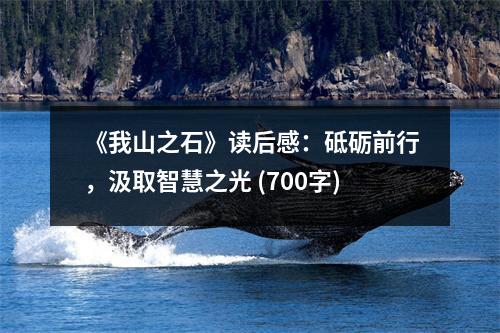 《我山之石》讀后感：砥礪前行，汲取智慧之光 (700字)