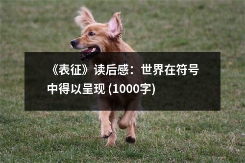 《表征》讀后感：世界在符號中得以呈現(xiàn) (1000字)