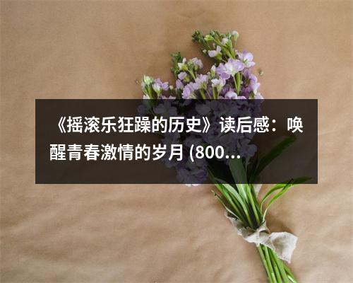 《搖滾樂狂躁的歷史》讀后感：喚醒青春激情的歲月 (800字)