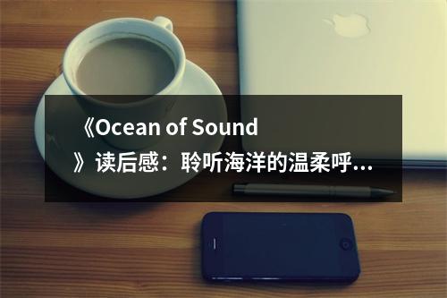《Ocean of Sound》讀后感：聆聽海洋的溫柔呼喚 (1100字)