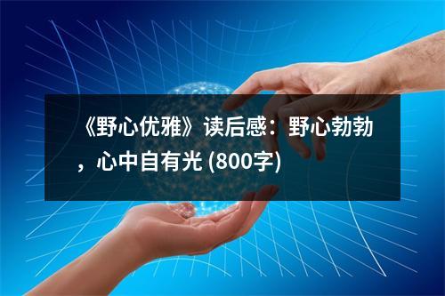 《野心優(yōu)雅》讀后感：野心勃勃，心中自有光 (800字)