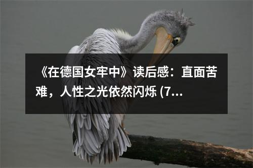 《在德國女牢中》讀后感：直面苦難，人性之光依然閃爍 (750字)