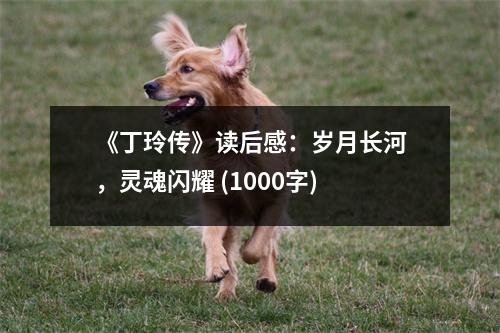 《丁玲傳》讀后感：歲月長河，靈魂閃耀 (1000字)