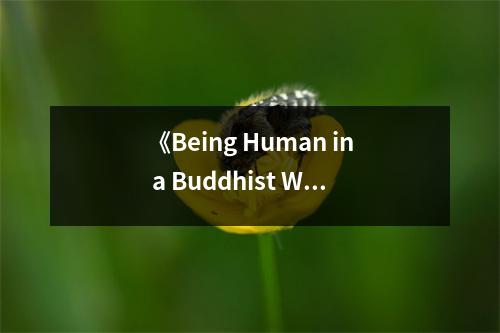 《Being Human in a Buddhist World》讀后感：感悟人生百態(tài)，探尋內(nèi)心寧靜 (950字)