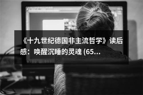 《十九世紀(jì)德國非主流哲學(xué)》讀后感：喚醒沉睡的靈魂 (650字)