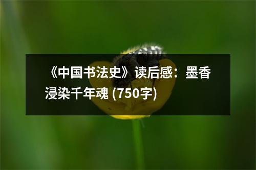《中國(guó)書(shū)法史》讀后感：墨香浸染千年魂 (750字)