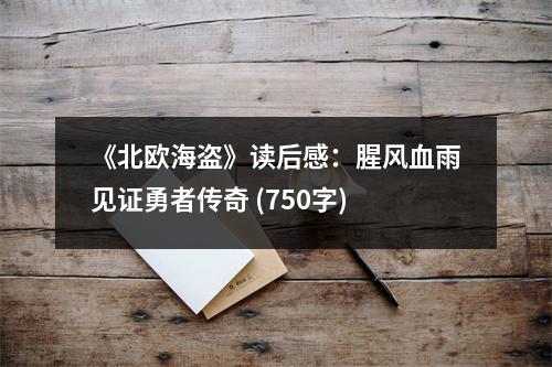 《北歐海盜》讀后感：腥風(fēng)血雨見證勇者傳奇 (750字)