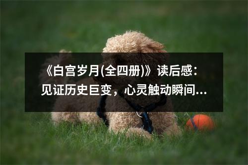《白宮歲月(全四冊)》讀后感：見證歷史巨變，心靈觸動瞬間 (750字)
