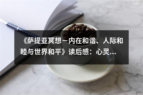 《薩提亞冥想－內(nèi)在和諧、人際和睦與世界和平》讀后感：心靈之光照亮人生路 (1100字)