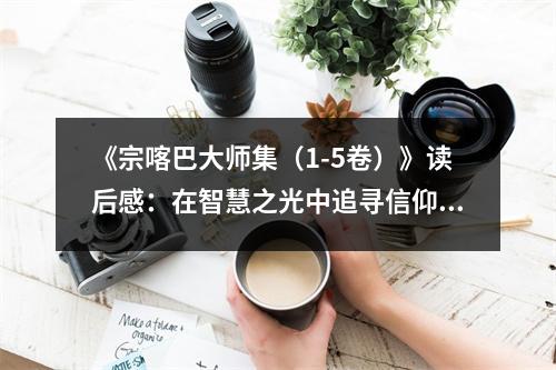 《宗喀巴大師集（1-5卷）》讀后感：在智慧之光中追尋信仰的彼岸 (800字)