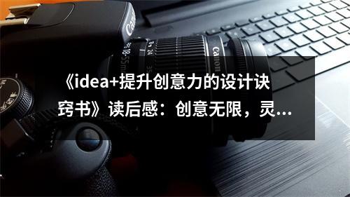 《idea+提升創(chuàng)意力的設計訣竅書》讀后感：創(chuàng)意無限，靈感涌動 (800字)