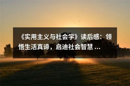 《實用主義與社會學》讀后感：領悟生活真諦，啟迪社會智慧 (750字)