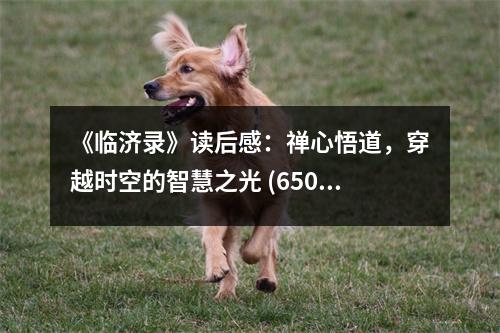《臨濟錄》讀后感：禪心悟道，穿越時空的智慧之光 (650字)