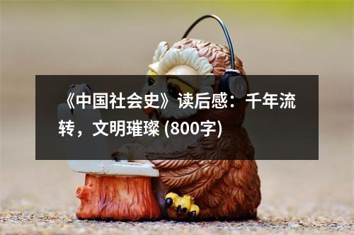 《中國社會史》讀后感：千年流轉(zhuǎn)，文明璀璨 (800字)