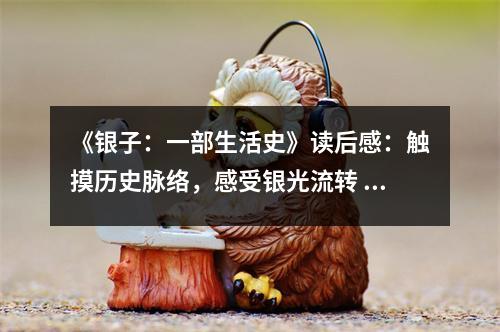 《銀子：一部生活史》讀后感：觸摸歷史脈絡(luò)，感受銀光流轉(zhuǎn) (800字)