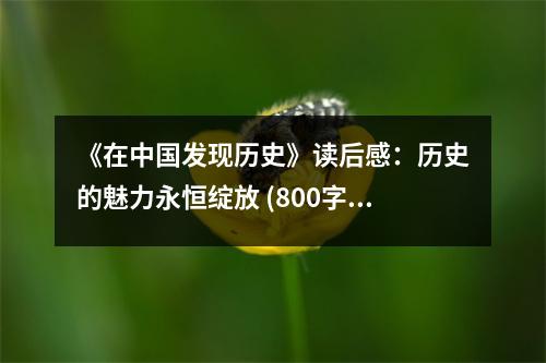 《在中國發(fā)現(xiàn)歷史》讀后感：歷史的魅力永恒綻放 (800字)