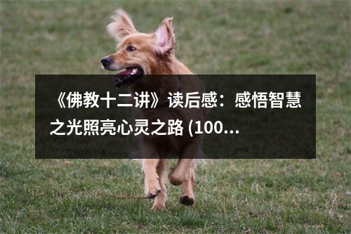 《佛教十二講》讀后感：感悟智慧之光照亮心靈之路 (1000字)