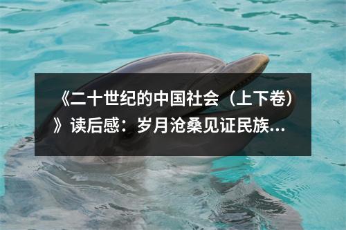 《二十世紀(jì)的中國(guó)社會(huì)（上下卷）》讀后感：歲月滄桑見(jiàn)證民族復(fù)興 (750字)
