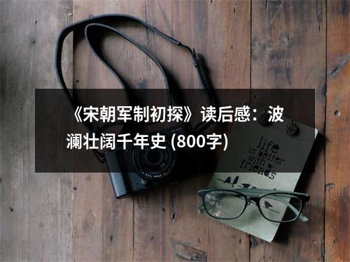 《宋朝軍制初探》讀后感：波瀾壯闊千年史 (800字)