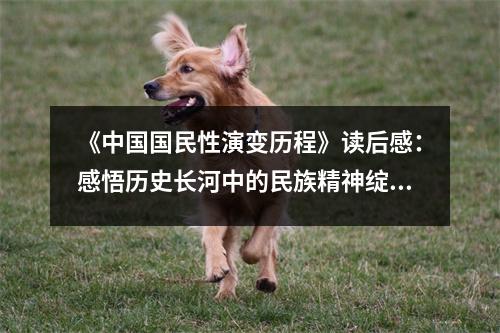 《中國(guó)國(guó)民性演變歷程》讀后感：感悟歷史長(zhǎng)河中的民族精神綻放 (750字)