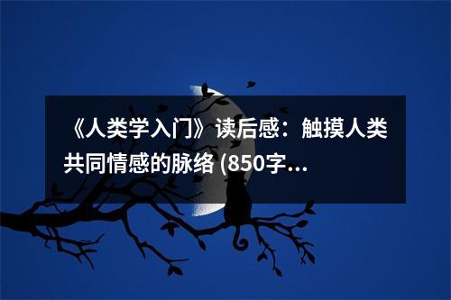 《人類學入門》讀后感：觸摸人類共同情感的脈絡(luò) (850字)