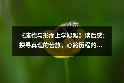 《康德與形而上學(xué)疑難》讀后感：探尋真理的苦旅，心路歷程的啟迪 (1050字)