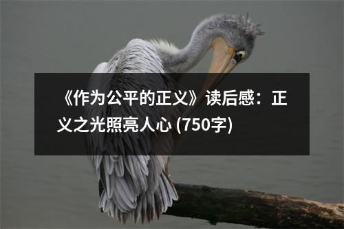 《作為公平的正義》讀后感：正義之光照亮人心 (750字)