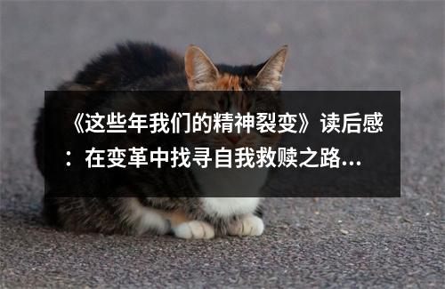 《這些年我們的精神裂變》讀后感：在變革中找尋自我救贖之路 (800字)
