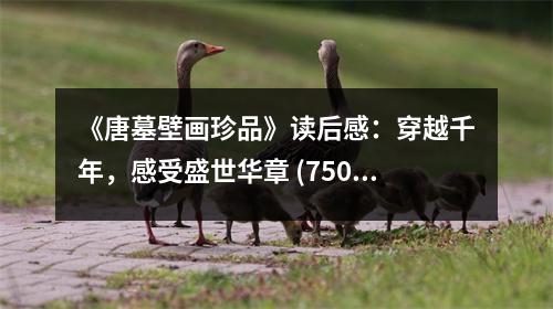 《唐墓壁畫珍品》讀后感：穿越千年，感受盛世華章 (750字)