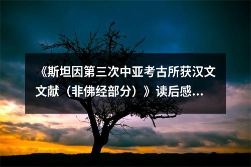 《斯坦因第三次中亞考古所獲漢文文獻（非佛經(jīng)部分）》讀后感：揭開歷史的神秘面紗 (850字)