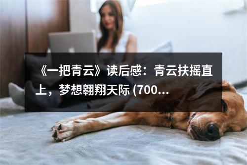 《一把青云》讀后感：青云扶搖直上，夢(mèng)想翱翔天際 (700字)