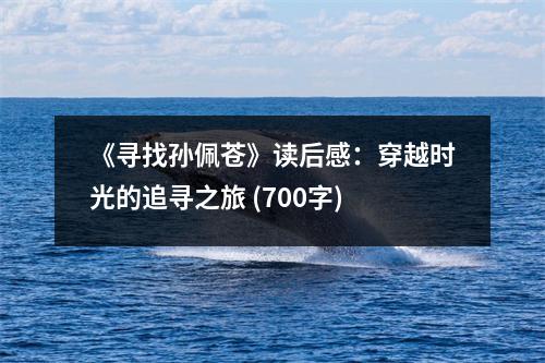 《尋找孫佩蒼》讀后感：穿越時光的追尋之旅 (700字)