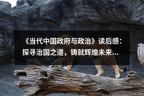 《當(dāng)代中國(guó)政府與政治》讀后感：探尋治國(guó)之道，鑄就輝煌未來(lái) (850字)