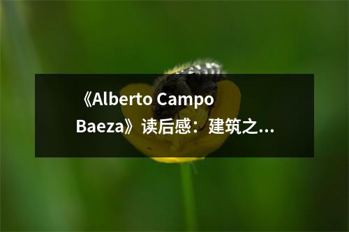《Alberto Campo Baeza》讀后感：建筑之魂，觸動心靈 (750字)