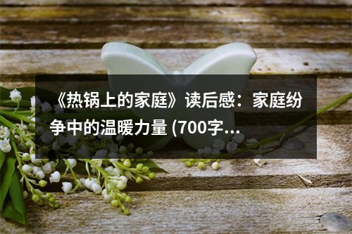 《熱鍋上的家庭》讀后感：家庭紛爭(zhēng)中的溫暖力量 (700字)