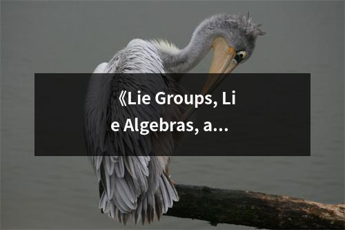 《Lie Groups, Lie Algebras, and Cohomology.》讀后感：探尋數(shù)學(xué)之美，邂逅無(wú)限奧秘 (900字)