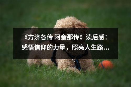《方濟各傳 阿奎那傳》讀后感：感悟信仰的力量，照亮人生路 (800字)