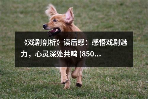 《戲劇剖析》讀后感：感悟戲劇魅力，心靈深處共鳴 (850字)
