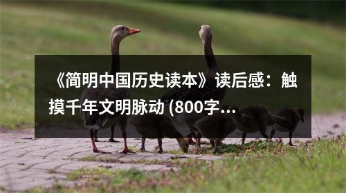 《簡(jiǎn)明中國(guó)歷史讀本》讀后感：觸摸千年文明脈動(dòng) (800字)