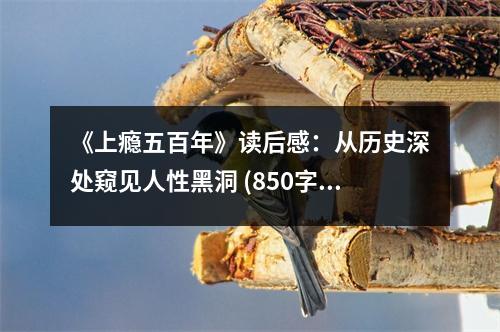 《上癮五百年》讀后感：從歷史深處窺見人性黑洞 (850字)