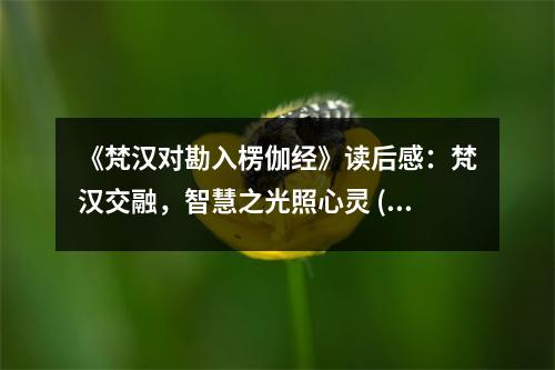 《梵漢對勘入楞伽經(jīng)》讀后感：梵漢交融，智慧之光照心靈 (700字)
