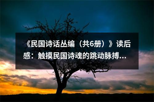 《民國詩話叢編（共6冊）》讀后感：觸摸民國詩魂的跳動脈搏 (800字)