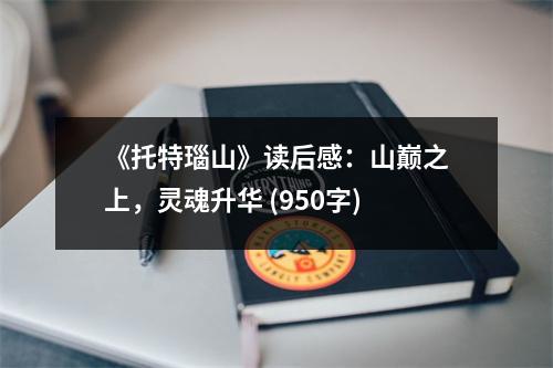 《托特瑙山》讀后感：山巔之上，靈魂升華 (950字)