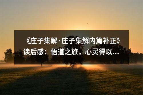 《莊子集解·莊子集解內(nèi)篇補正》讀后感：悟道之旅，心靈得以升華 (850字)