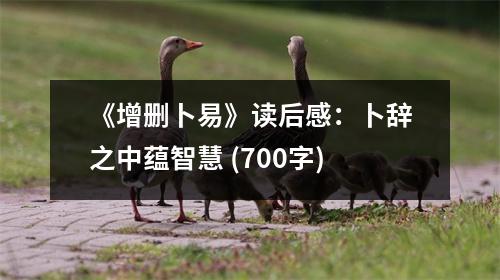 《增刪卜易》讀后感：卜辭之中蘊(yùn)智慧 (700字)