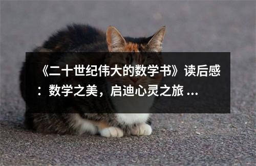 《二十世紀偉大的數(shù)學書》讀后感：數(shù)學之美，啟迪心靈之旅 (800字)