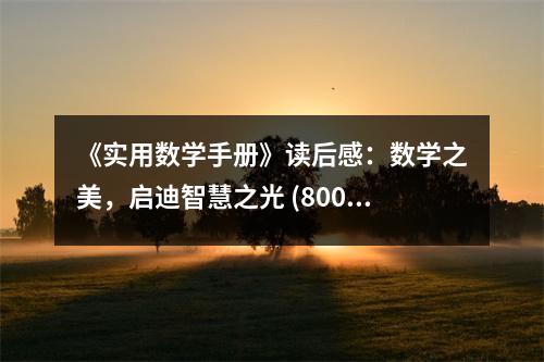 《實用數(shù)學手冊》讀后感：數(shù)學之美，啟迪智慧之光 (800字)