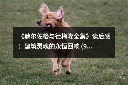 《赫爾佐格與德梅隆全集》讀后感：建筑靈魂的永恒回響 (900字)