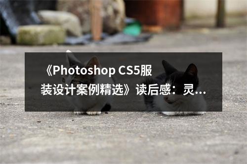 《Photoshop CS5服裝設(shè)計(jì)案例精選》讀后感：靈感無限綻放 (800字)