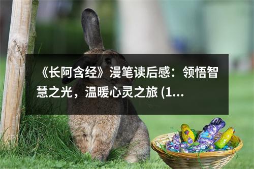 《長(zhǎng)阿含經(jīng)》漫筆讀后感：領(lǐng)悟智慧之光，溫暖心靈之旅 (1000字)